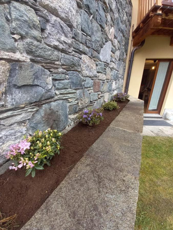 Punta Vittoria Sub 14 - Residence Anderbatt Gressoney - 3 Locali - Cir N 0010 Staval Ngoại thất bức ảnh