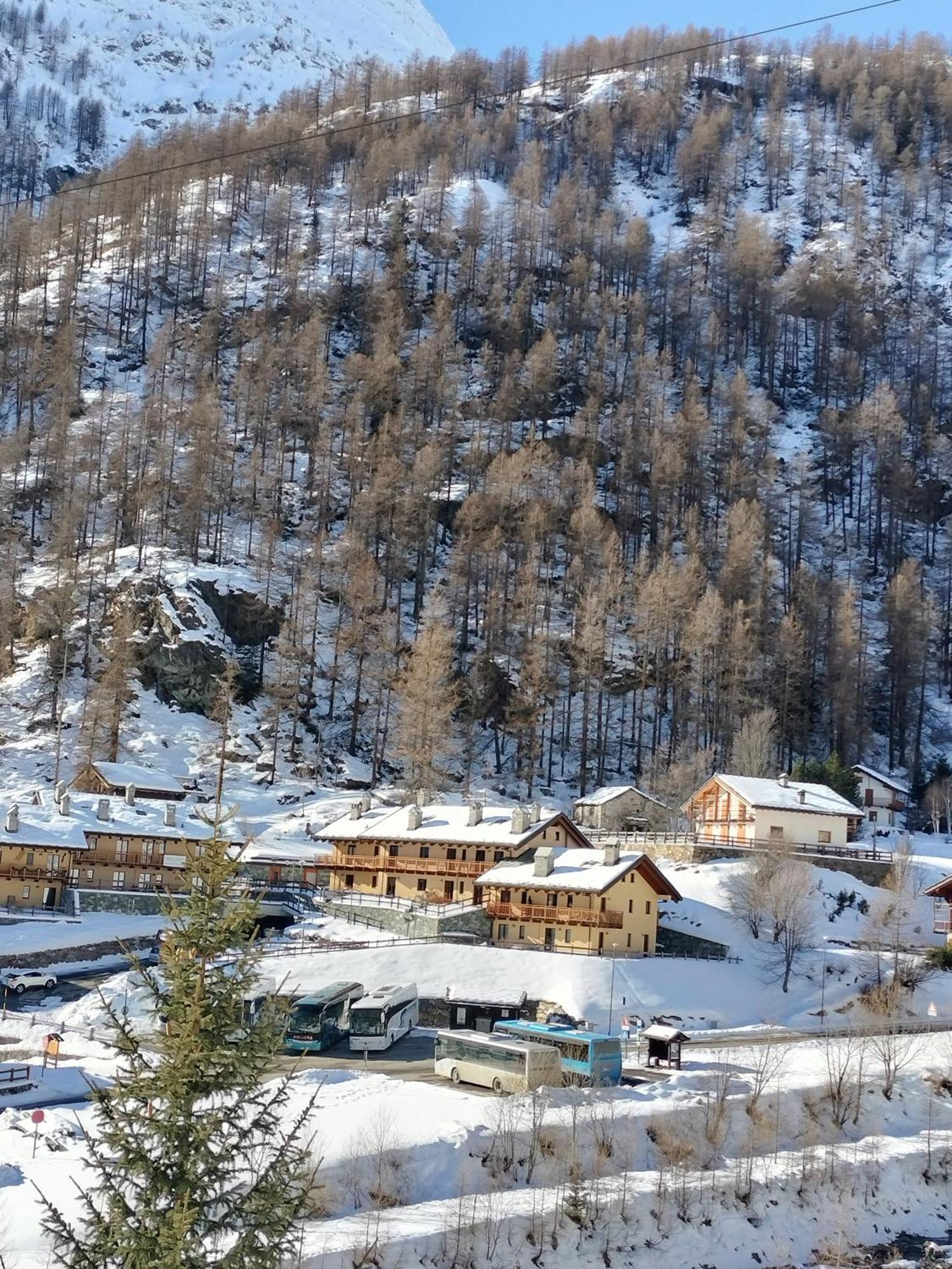Punta Vittoria Sub 14 - Residence Anderbatt Gressoney - 3 Locali - Cir N 0010 Staval Ngoại thất bức ảnh